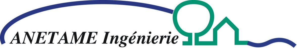 logo anetame